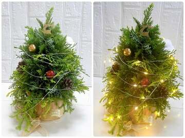 クリスマスツリー
初めて作るツリー